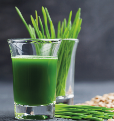 Bio Weizengrassaft Urweizen frisch *GREENFROSTI*  Rohkostqualität