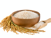 BIO Jasmin Reis 500 g, Duftreis, Langkornreis, naturbelassen