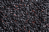 Bio-schwarzer Reis 500 g, "Nerone"